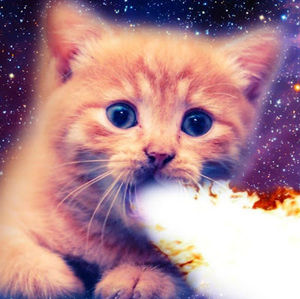 Meet your Posher, Edward